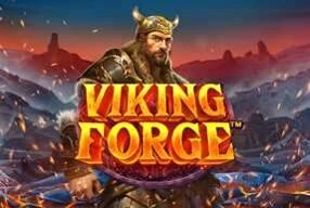 Viking-Force